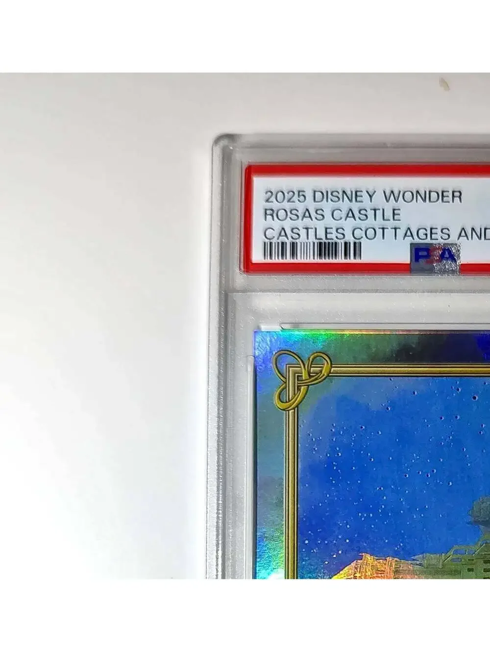 Rosas Castle 2025 Topps Disney #C-20 Card Wish PSA 9